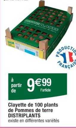 clayette de 100 plants de pommes de terre distriplants