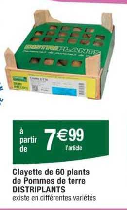 clayette de 60 plants de pommes de terre distriplants