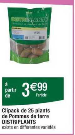 clipack de 25 plants de pommes de terre distriplants