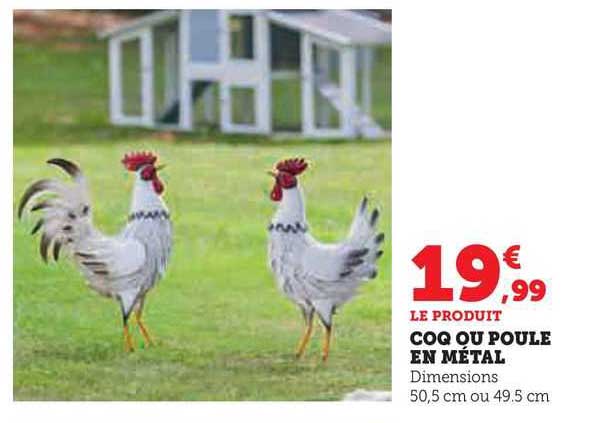 Coq Ou Poule En Métal