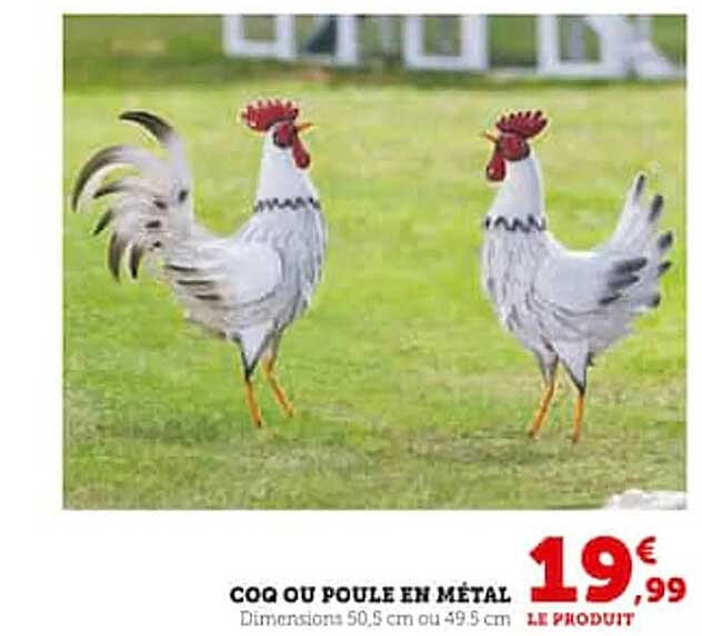 Coq Ou Poulet En Métal
