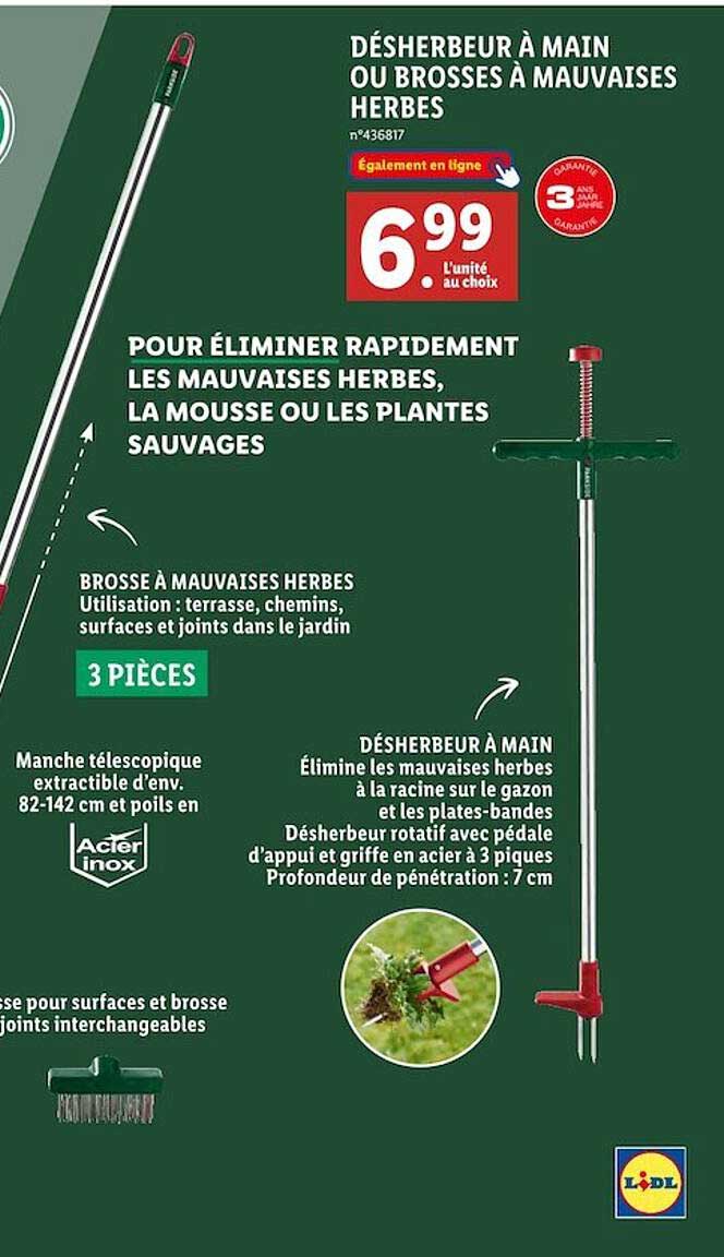 désherbeur à main ou brosses à mauvaises herbes parkside