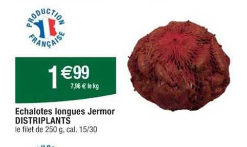 Echalotes Longues Jermor Distriplants