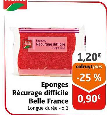 éponges récurage difficile belle france