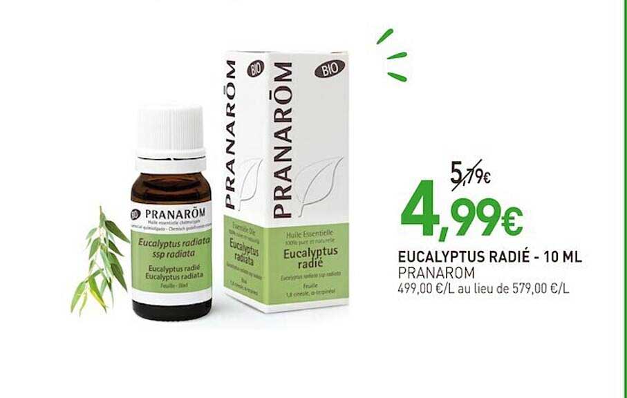 eucalyptus radié pranarom - 10 ml
