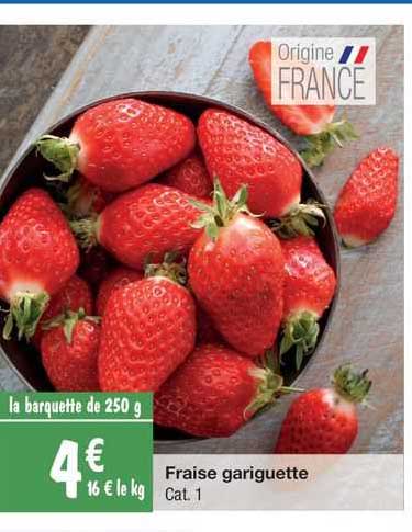 fraise gariguette