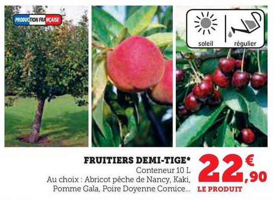 fruitiers demi-tige