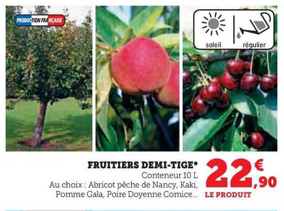 fruitiers demi-tige