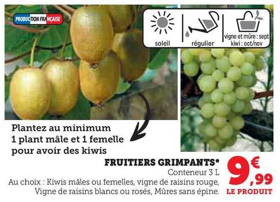 fruitiers grimpants