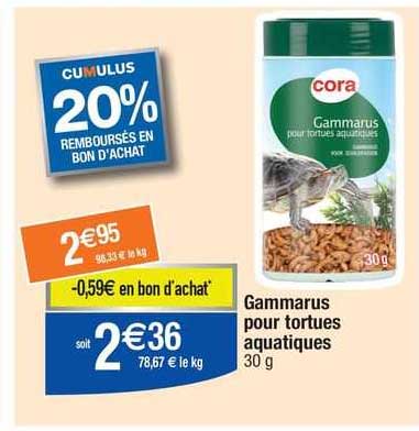 gammarus pour tortues aquatiques