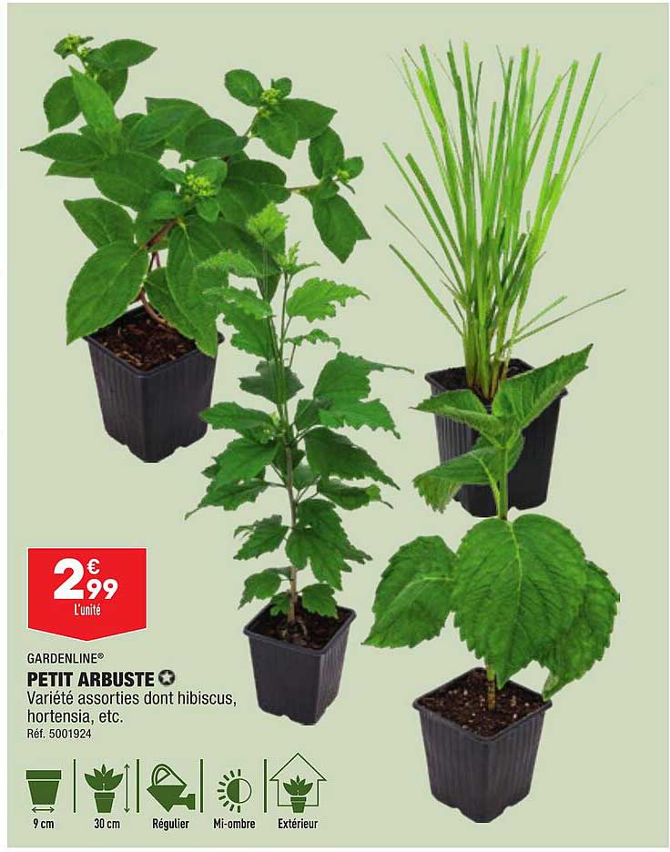 Gardenline Petit Arbuste