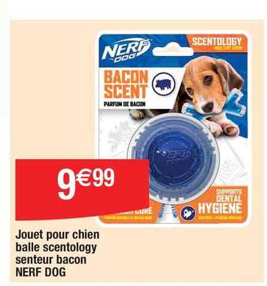 jouet pour chien balle scentology senteur bacon nerf dog