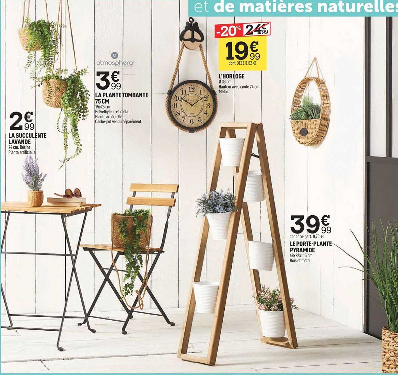 la succulente lavante, la plante tombante, l'horloge, le porte-plante pyramide