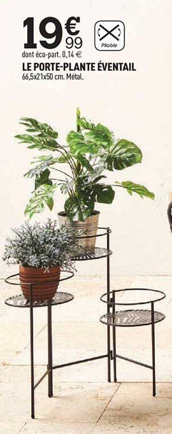 le porte-plante éventail