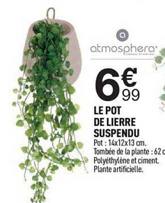 le pot de lierre suspendu