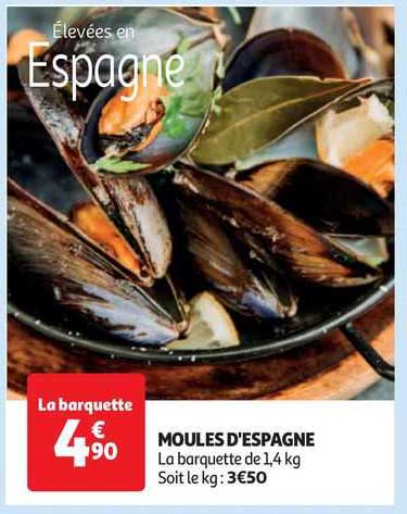 Moules D'espagne