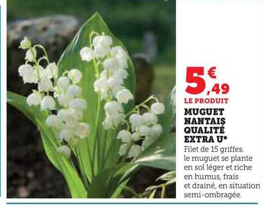 muguet nantais qualité extra u
