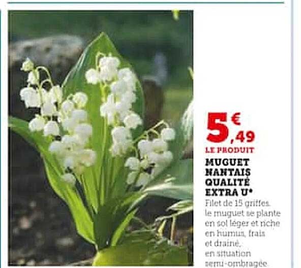 muguet nantais qualité extra u