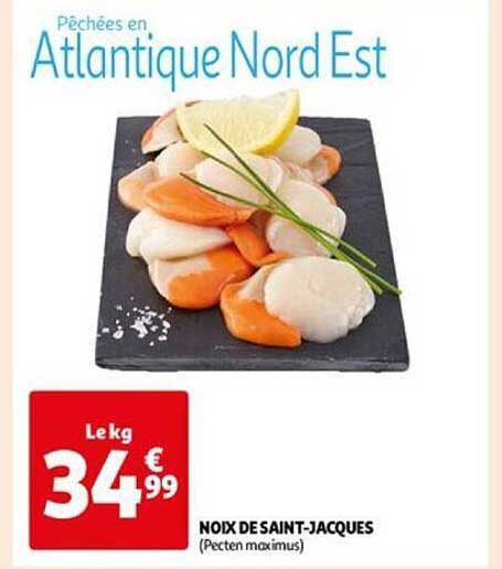 noix de saint-jacques