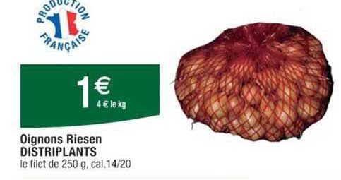 oignons riesen distriplants