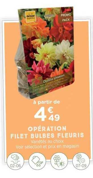 opération filet bulbes fleuris