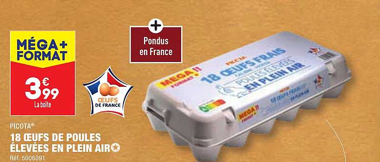 picota 18 œufs de poules élevées en plein air