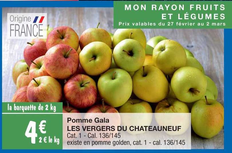 pomme gala les vergers du chateauneuf