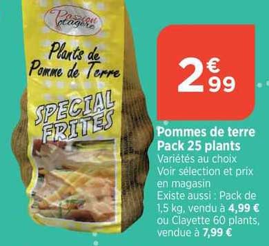 pommes de terre pack 25 plants
