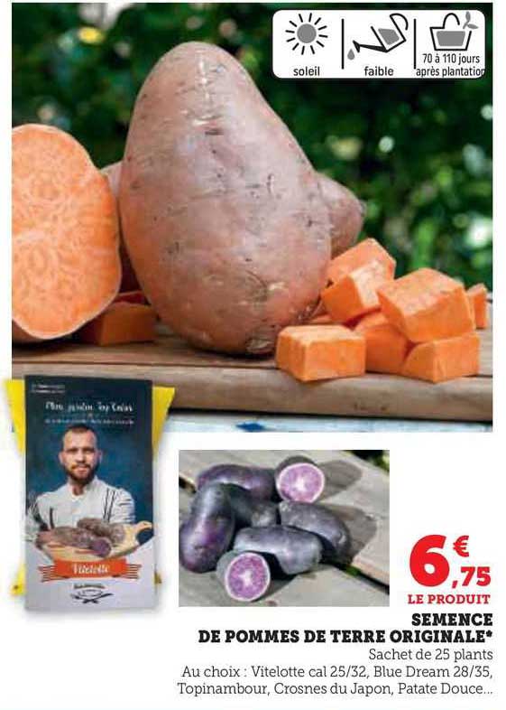 semence de pommes de terre originale