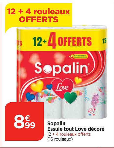 sopalin essuie tout love décoré