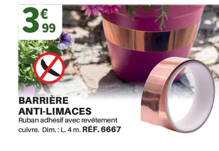 barrière anti-limaces