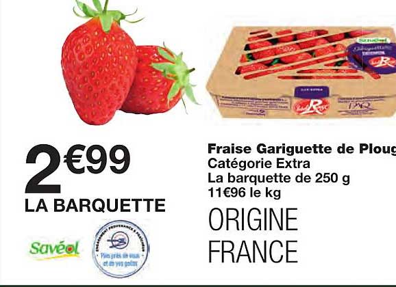 fraise gariguette