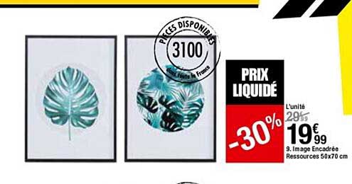 image encadrée ressources 50 x 70 cm