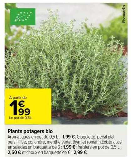 plants potagers bio