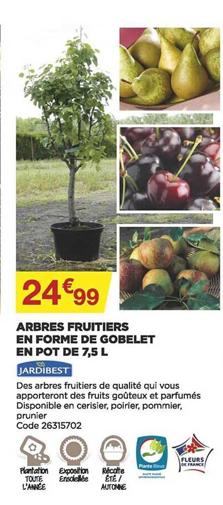 arbres fruitiers en forme de gobelet en pot de 7.5 l jardibest
