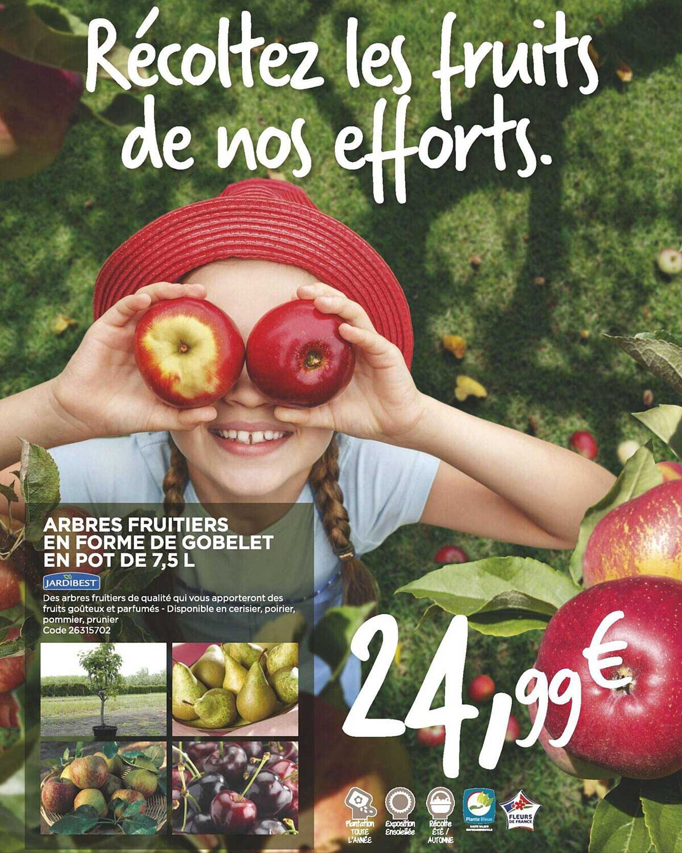 arbres fruitiers en forme de gobelet en pot de 7.5 l jardibest