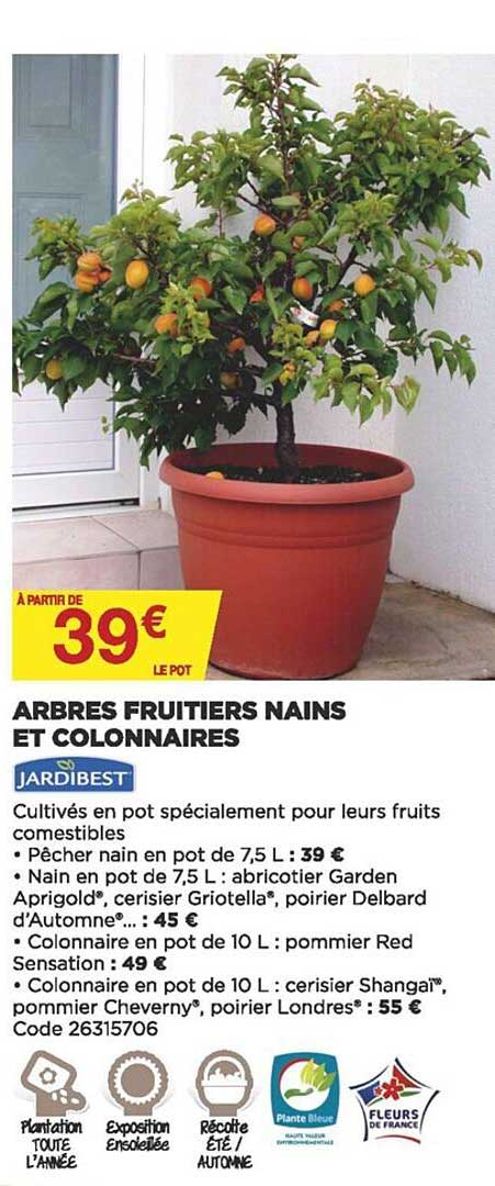arbres fruitiers nains et colonnaires jardibest