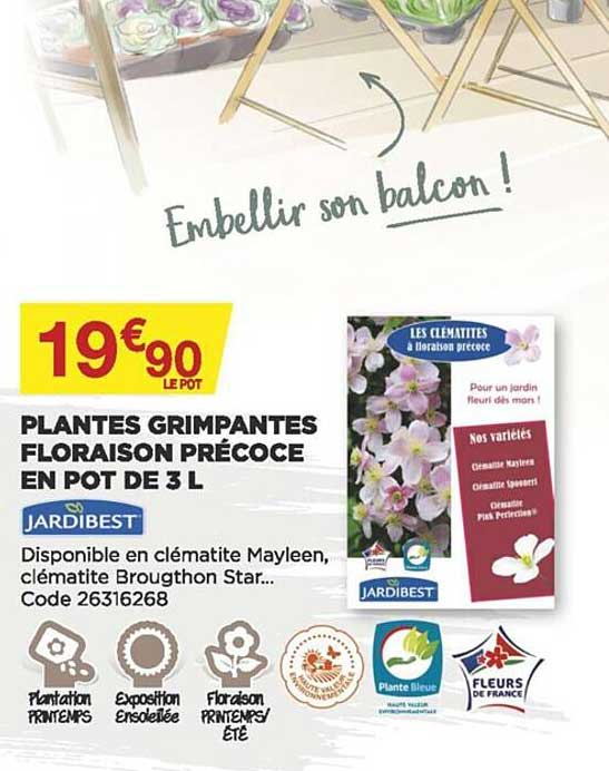 plantes grimpantes floraison précoce en pot de 3 l jardibest