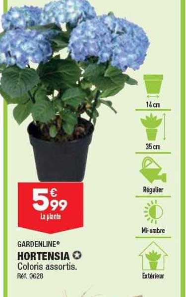 Hortensia Gardenline