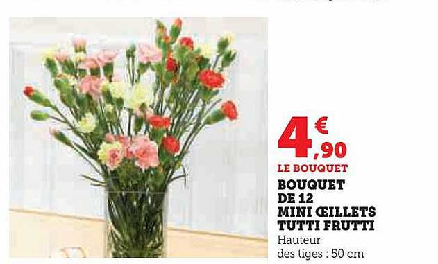 bouquet de 12 mini œillets tutti frutti