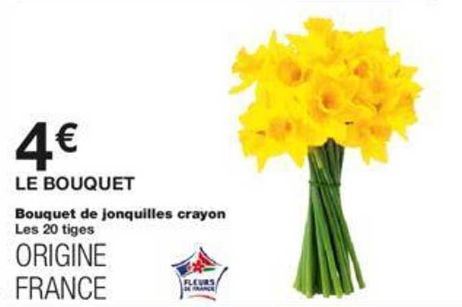 Bouquet De Jonquilles Crayon