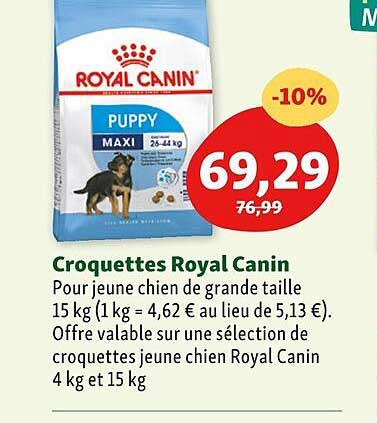 croquettes royal canin