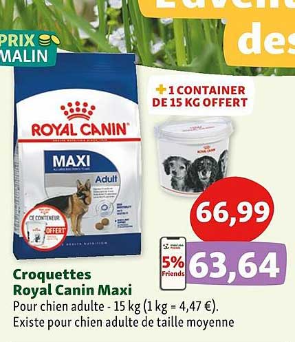 croquettes royal canin maxi