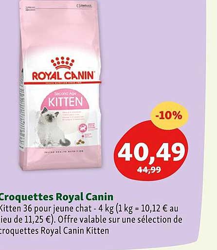 Croquettes Royal Canin