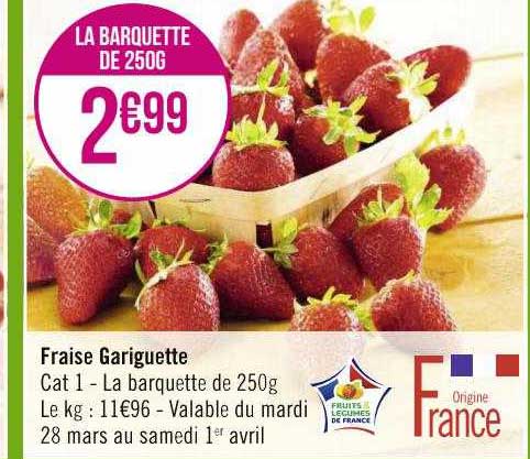 fraise gariguette