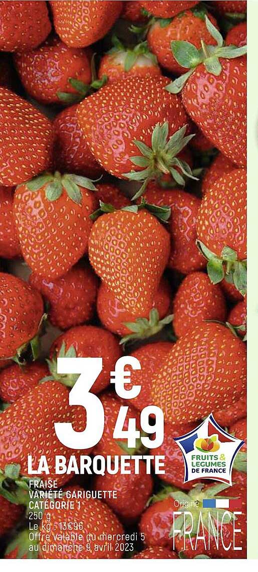 fraise variété gariguette