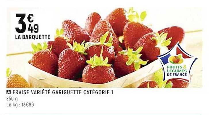 fraise variété gariguette catégorie 1