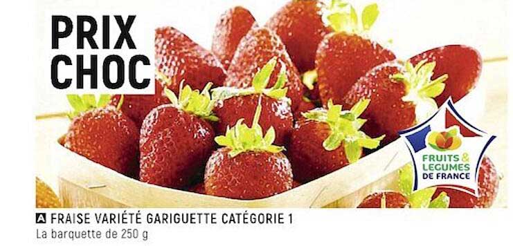 fraise variété gariguette catégorie 1
