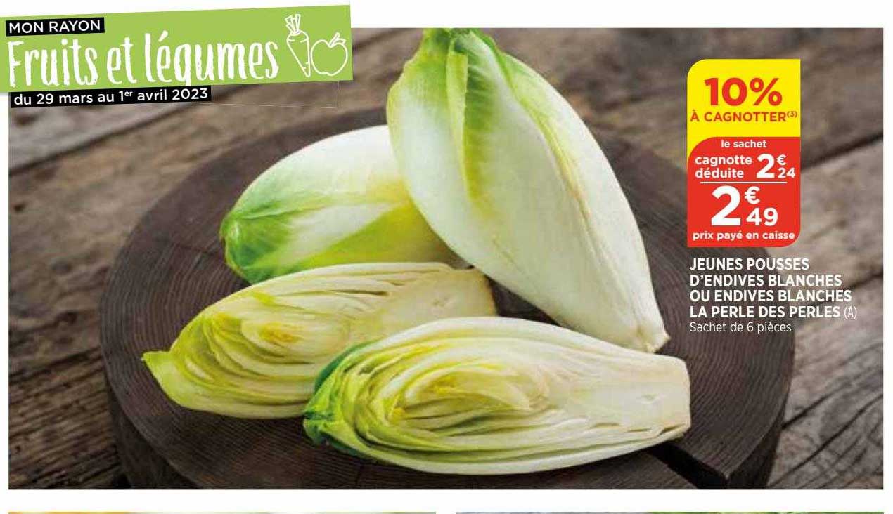jeunes pousses d'endives blanches ou endives blanches la perle des perles