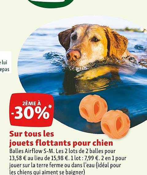 les jouets flottants pour chien